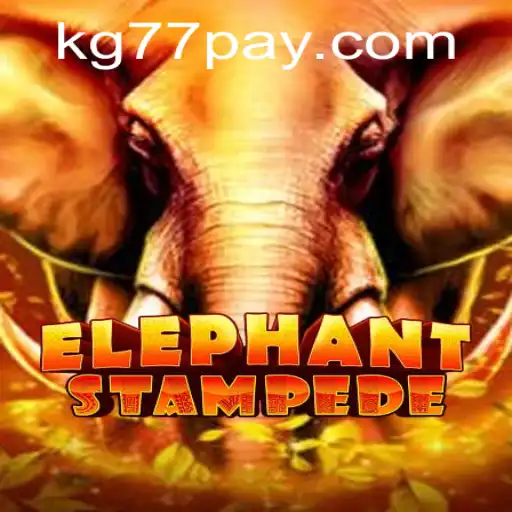 ElephantStampede: Discover the Thrilling Adventure with KG77.COM